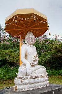 富士数码相机说明书(玩转富士相机色彩 FujiXWeekly宝藏调色技巧分享)