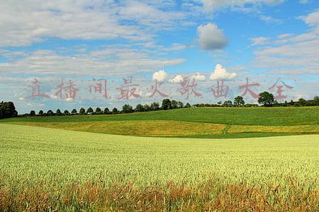 直播间最火歌曲大全
