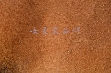 童装品牌国内(探访中国最大童装生产基地织里：小童装织就共富路)