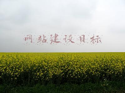 网站建设目标分析(企业网站建设的目标是什么？)