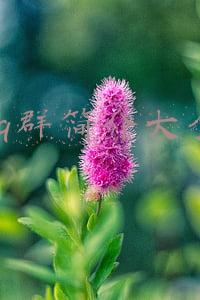 qq群简介大全