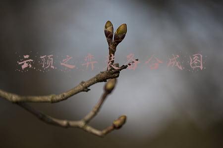 云顶之弈装备合成图