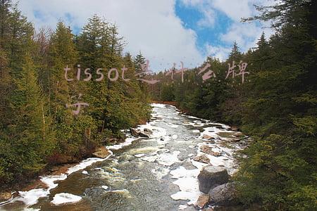 tissot是什么牌子