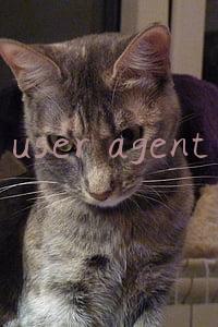 user agent