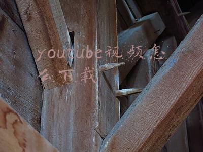 youtube视频怎么下载