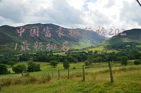 中国富豪排行榜2021最新排名
