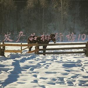 生发排行榜生发产品(12款大牌防脱洗发水测试：防脱？这几款反而令人头秃)
