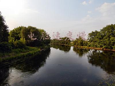 电脑速度慢
