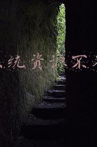 系统资源不足,无法完成请求的服务(泽连斯基最新求助：我们独自保卫国家，世界上最强大力量就看着)