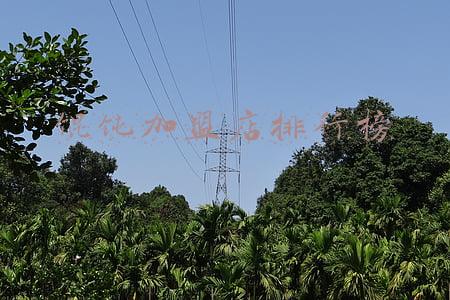 馄饨加盟店排行榜