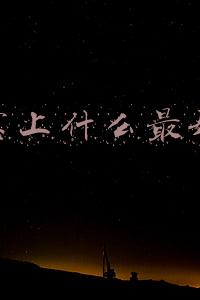 淘宝上什么最好卖