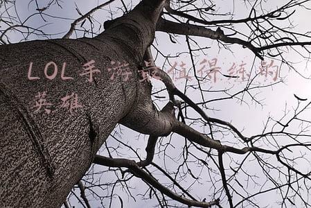 lol手游最值得练的英雄男枪(LOL手游打野男枪攻略，T0级排位上分首选)
