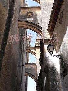 跳槽简历
