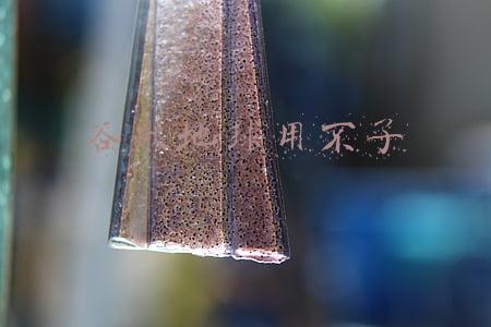 谷歌地球用不了了2020(明查｜中国“侵入”尼泊尔边境造房子？尼方早已声明没越界)
