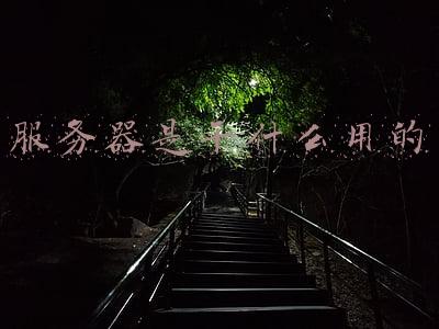 服务器是干什么用的什么是服务器(我们整天说的服务器到底是什么？（上）)