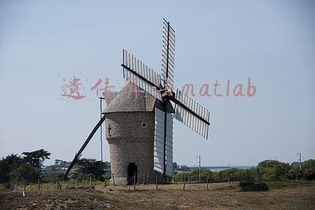遗传算法matlab程序代码(三分钟学会遗传算法)