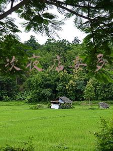 去一次夜店要多少钱