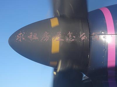 求租房屋怎么写