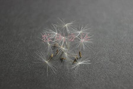 成本控制方法(成本控制太难？看完成本控制的六大方法，太多人走了弯路)