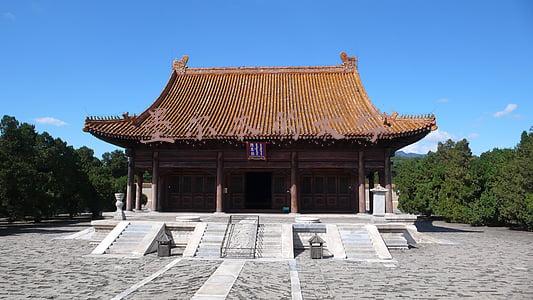墨尔本的大学