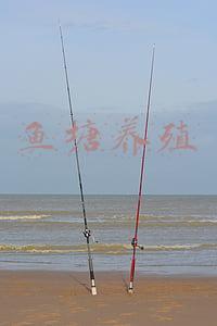 鱼塘养殖