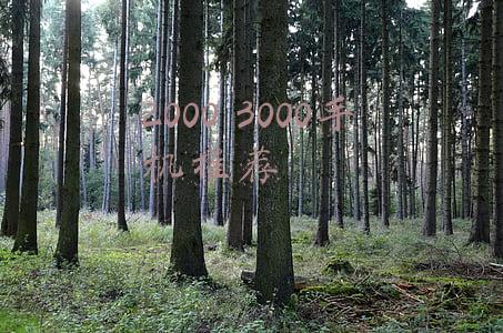 2000--3000元手机推荐(4月份，两千到三千元价位段手机推荐)