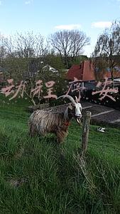 驱动程序安装成功却无法使用(打印驱动下载好还是无法打印？这样处理就对了)