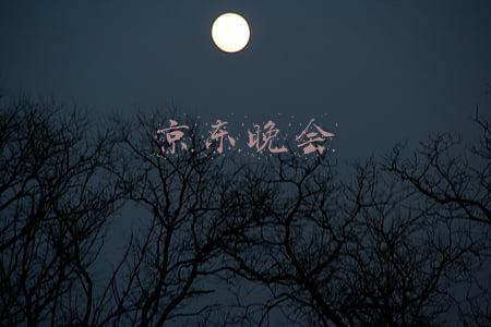 费玉清京东晚会(都是电商直播，京东比淘宝到底差在哪？)