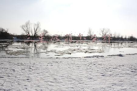 三星冰箱怎么样