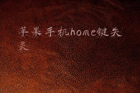 苹果手机home键失灵