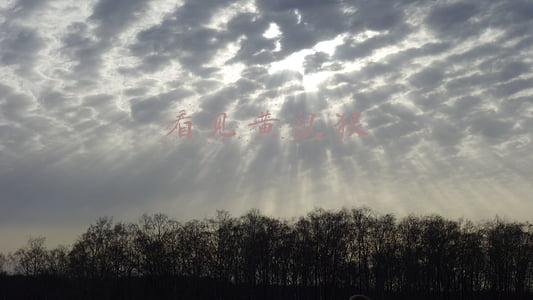 看见黄鼠狼有什么预兆(他看到黄鼠狼搬家，躲过一场大的灾难)