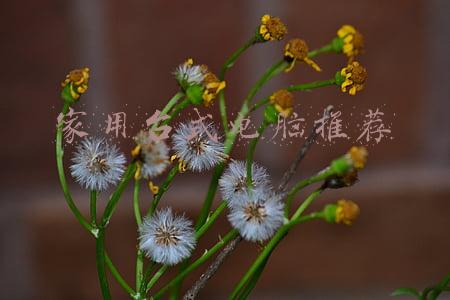 家用台式电脑推荐
