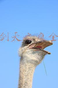 轩辕剑天之痕最全攻略(轩辕剑天之痕，游戏中的练级宝地，还好当初玩的时候没有发现)