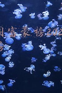 中国富豪榜2020排行榜前100名(胡润百富榜出炉！中国最富的2918名企业家分布在哪些城市？)