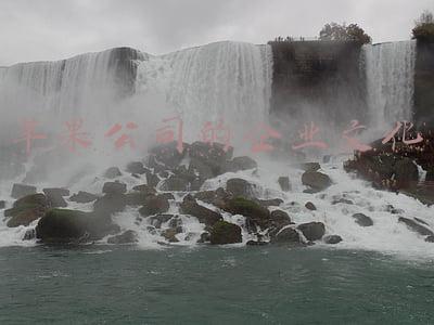 苹果公司的企业文化