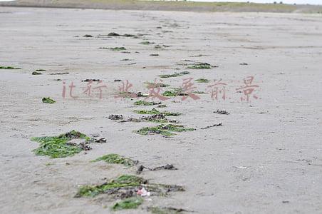 it就业前景(58同城聚焦2021毕业生就业情况：IT行业最受毕业生欢迎，上海人才吸引力旺盛)