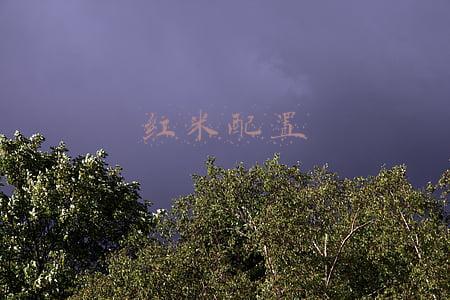 红米配置