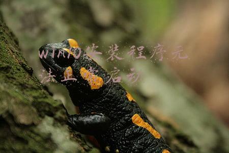 win10安装程序无法正常启动