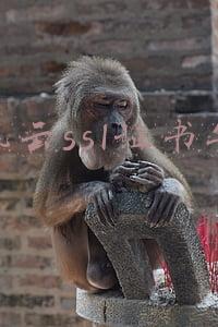 腾讯云ssl证书安装