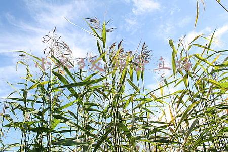 小米发布会 直播(「直播」小米CIVI发布会)