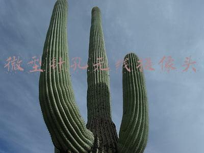 微型针孔无线摄像头