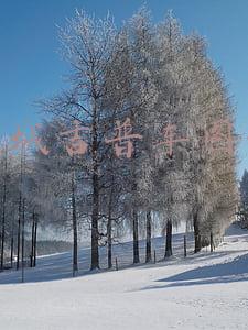 长城吉普车图片与报价(越野车代表车型，BJ40环塔冠军版卖20.99万，配8AT还有“三把锁”)