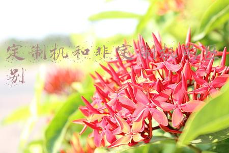 华为定制机和非定制机的区别(中国移动定制机或给华为手机一条出路，同时迫使5G手机降价)