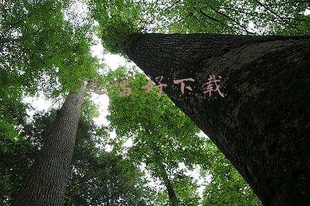 迅雷好下载