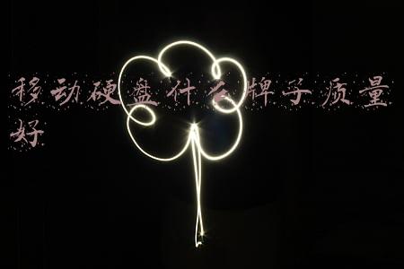 移动硬盘哪个品牌质量最好(必买：好用！这几款移动固态硬盘值得购买)