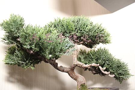 东芝手提电脑电源插头(消费提示：东芝召回销往大陆53万余条笔记本电源线 存过热隐患)