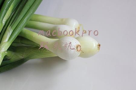 macbookpro双系统