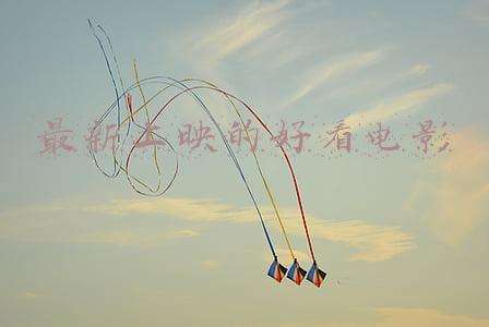 最新上映的好看的电影(春节档电影大PK，《四海》口碑垫底，《这个杀手不太冷静》最惊喜)