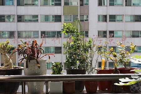 长沙有什么旅游景点