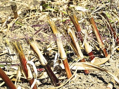 洗车行地面格栅批发价；洗车专用地格栅价格